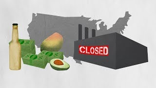 NAFTA explained by avocados And shoes [upl. by Morgenthaler]