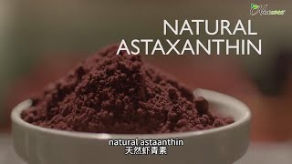 Why choose ASTAREAL astaxanthin produced AstaReal 雨生红球藻虾青素是如何生产出来？有何不同？🤔 [upl. by Ylenaj]