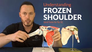 Understanding FROZEN SHOULDER and how to stretch for greater movement [upl. by Koss395]