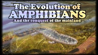 The Evolution of Amphibians I  The conquest of the mainland [upl. by Annerahs]