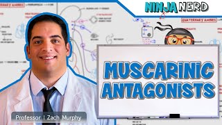 Autonomic Pharmacology  Muscarinic Antagonists [upl. by Conni]