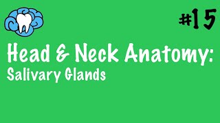 Head amp Neck Anatomy  Salivary Glands  INBDE [upl. by Esille683]