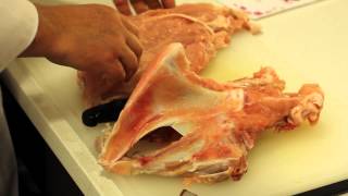 Turkey Breast Butchery Video Demo [upl. by Dorinda934]