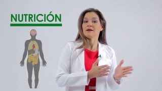 Nutrición ¿Qué es la nutrición [upl. by Imeon]