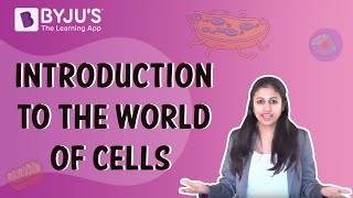 Introduction to the World of Cells  Class 610  Learn with BYJUS [upl. by Yenohtna543]