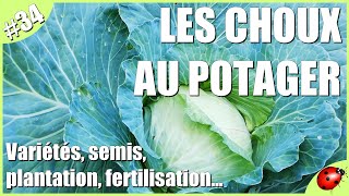 CHOUX amp FERTILISATION au POTAGER [upl. by Bil]