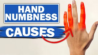 Expert Reveals MindBlowing Facts About Numbness amp Tingling In Fingers [upl. by Alor]