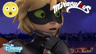 Miraculous Ladybug  Cat Noir Sees Marinette’s Transformation 😱  Disney Channel UK [upl. by Nywde]