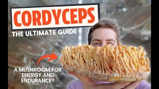 Zombie Fungus or Energy Mushroom The Ultimate Guide To Cordyceps [upl. by Orenid601]