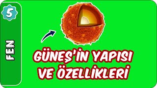 Güneşin Yapısı ve Özellikleri  5Sınıf Fen evokul Kampı [upl. by Holle776]