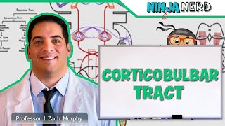 Neurology  Descending Tracts Corticobulbar Tract [upl. by Guenna790]