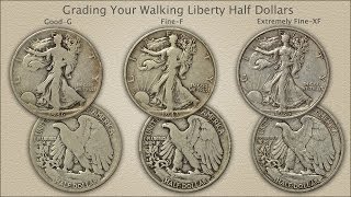 Grading Walking Liberty Half Dollars [upl. by Shreeves]