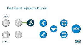 From Bill to Law The US Legislative Process [upl. by Anawt508]