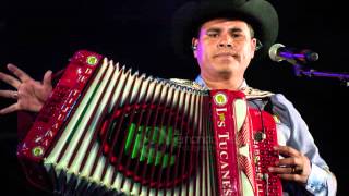 Los Tucanes De Tijuana Mix Corridos En Vivo [upl. by Earahs]