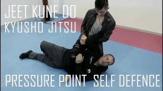 HD Jeet Kune Do amp Pressure Point  Kyusho Jitsu Dim Mak Ri Chu Martial Arts Institute [upl. by Thacher]