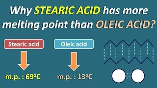 Why Stearic acid has more melting point than Oleic acid [upl. by Kinnard]