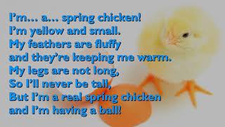 Spring Chicken Song One Mother Hen with lyrics for congregations [upl. by Nerua]