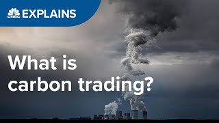 What is carbon trading  CNBC International [upl. by Agemo]