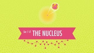 The Nucleus Crash Course Chemistry 1 [upl. by Leonerd365]