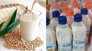 HOW TO MAKE DELICIOUS SOYA MILK SOY MILK FOR SALE  PRESERVATION  DIFFERENT FLAVORS  SOY BEANS [upl. by Dexter]