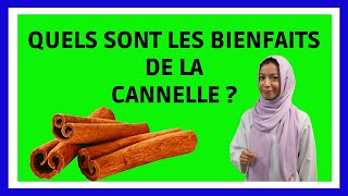 CANNELLE  bienfaits en moins de 3 min [upl. by Salb]