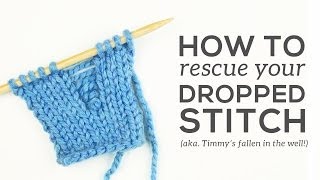 How to Fix a DROPPED STITCH [upl. by Joseito718]