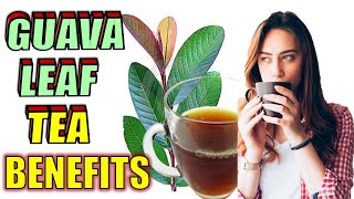 19 Incredible Guava Leaves Tea Water Benefits amp Uses [upl. by Analra]