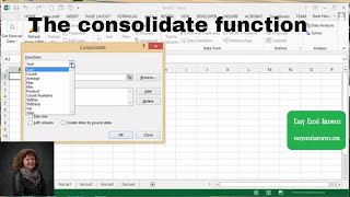 How to use the consolidate function in Excel [upl. by Artkele]