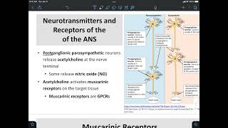 Nicotinic and Muscarinic Receptors [upl. by Hpesoj]