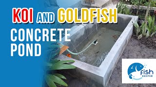 Koi and Goldfish concrete pond [upl. by Bard]