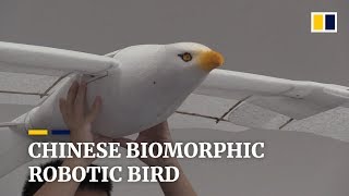 Chinese biomorphic robotic bird [upl. by Meuse710]