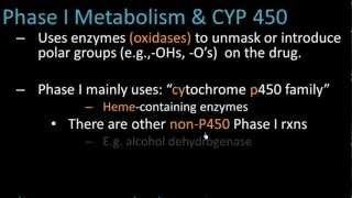 Phase I Metabolism  Pharmacology Lect 7 [upl. by Willamina]