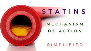 Statins Mechanism Of Action Animated [upl. by Ayekam]