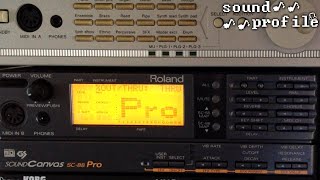 Roland SC88 Pro A Classic Desktop Synth  Sound Profile [upl. by Anitsirt]