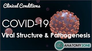 Coronavirus COVID19  Viral Structure amp Pathogenesis [upl. by Rehpotsirhc]