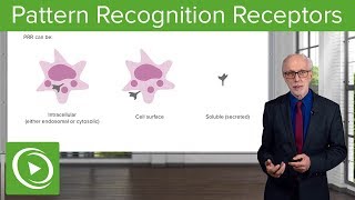 Pattern Recognition Receptors PRRs – Immunology  Lecturio [upl. by Notyrb]