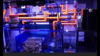 How To The Ultimate Filtration Sumps [upl. by Ruomyes216]