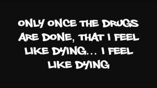 Lil Wayne  I Feel Like Dying Lyrics [upl. by Amlev]