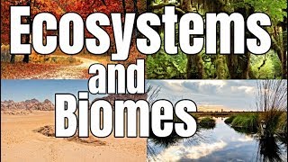 Ecosystems and Biomes  Classroom Learning Video [upl. by Belda]