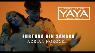 ADRIAN NOROCEL  FURTUNA DIN SAHARA  OFICIAL [upl. by Petracca]