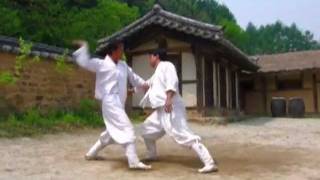 Taekkyeon a traditional Korean martial art [upl. by Colburn]