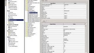 Informatica MDM Training  Informatica MDM Tutorial  Online Informatica MDM [upl. by Lindahl]