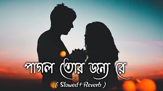 Pagol Tor Jonno Re  Bangla  SlowedReverb [upl. by Drona]