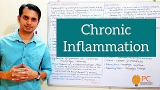 Inflammation Part 4 Pathophysiology of Chronic Inflammation [upl. by Johns970]