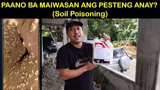 House Construction Ep 08  Termite Control Soil Poisoning [upl. by Yrnehnhoj]