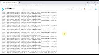 DirectAdmin Log Viewer [upl. by Hoenack]