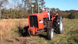 7030 Allis chalmers [upl. by Ayatnohs22]