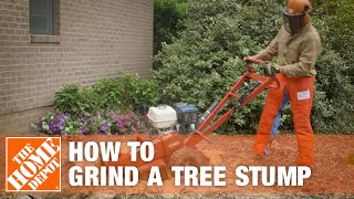 How To Grind A Tree Stump  The Home Depot [upl. by Vikki]