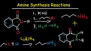 Amine Synthesis Reactions Organic Chemistry  Summary amp Practice Problems [upl. by Hairam]