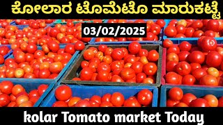 ಕೋಲಾರ ಟೊಮೆಟೊ ದರಗಳು03022025today Tomato rates inkolar kolartomatomarketratetoday chintamani [upl. by Oppen]